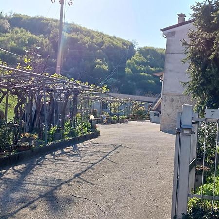 La Torretta - Incantevole Appartamento Nei Colli Berici Nanto Bagian luar foto