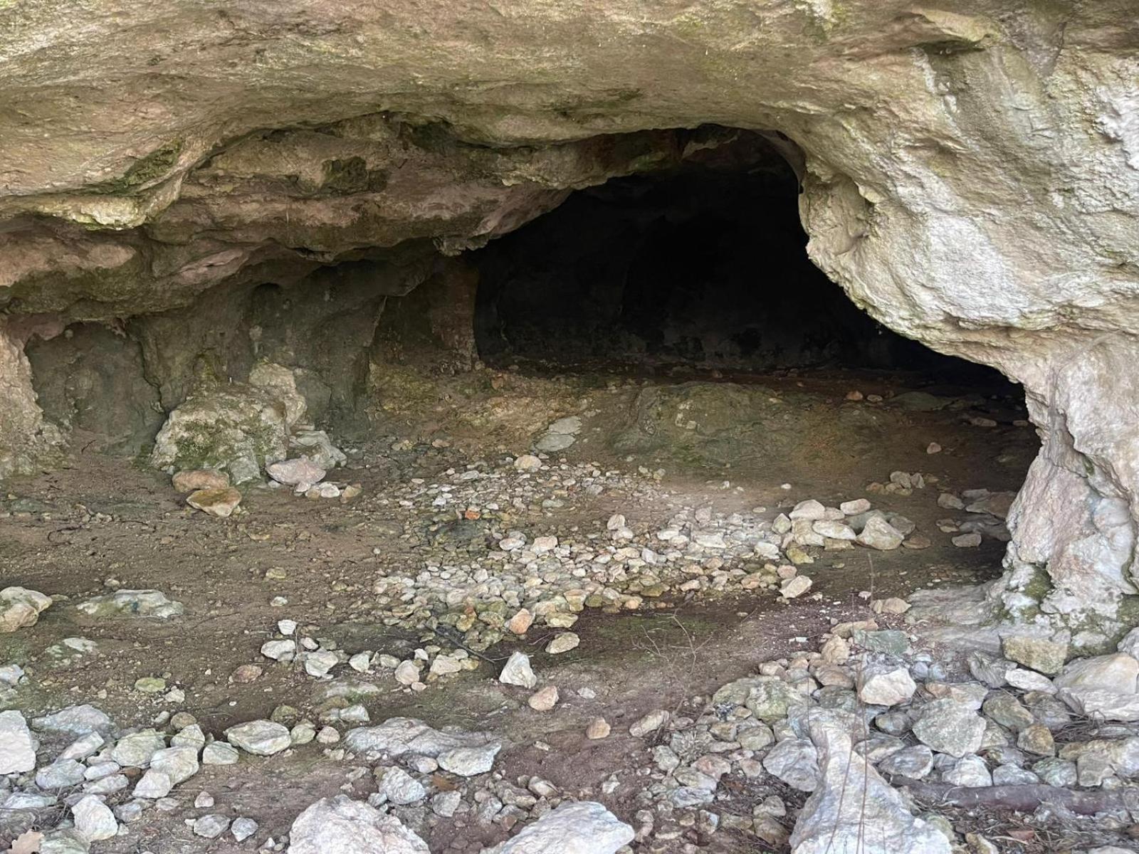 La Torretta - Incantevole Appartamento Nei Colli Berici Nanto Bagian luar foto