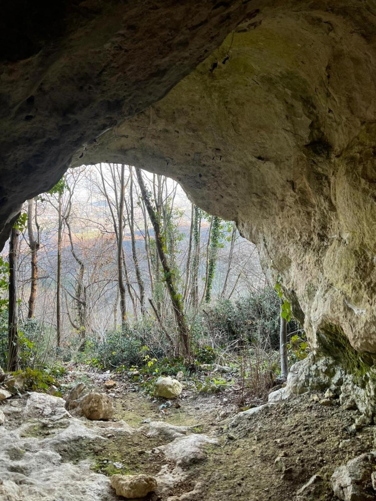 La Torretta - Incantevole Appartamento Nei Colli Berici Nanto Bagian luar foto