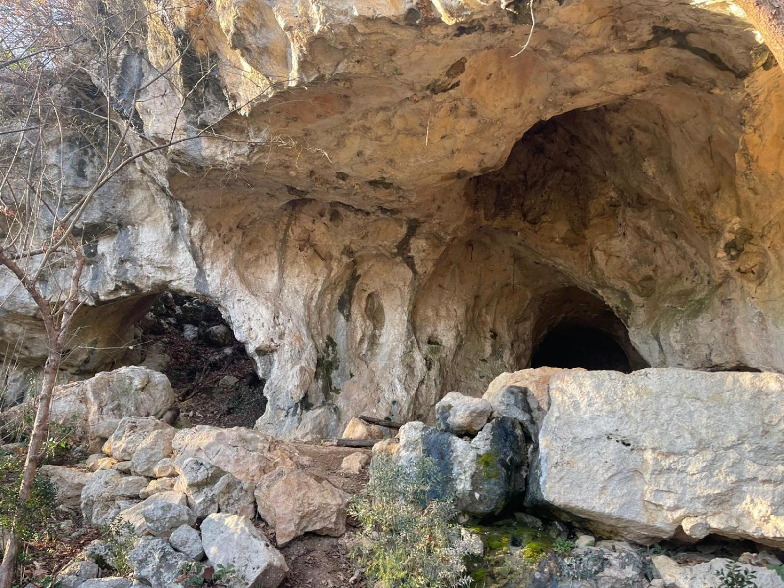 La Torretta - Incantevole Appartamento Nei Colli Berici Nanto Bagian luar foto