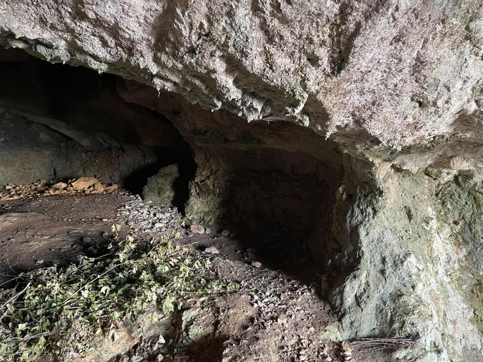 La Torretta - Incantevole Appartamento Nei Colli Berici Nanto Bagian luar foto